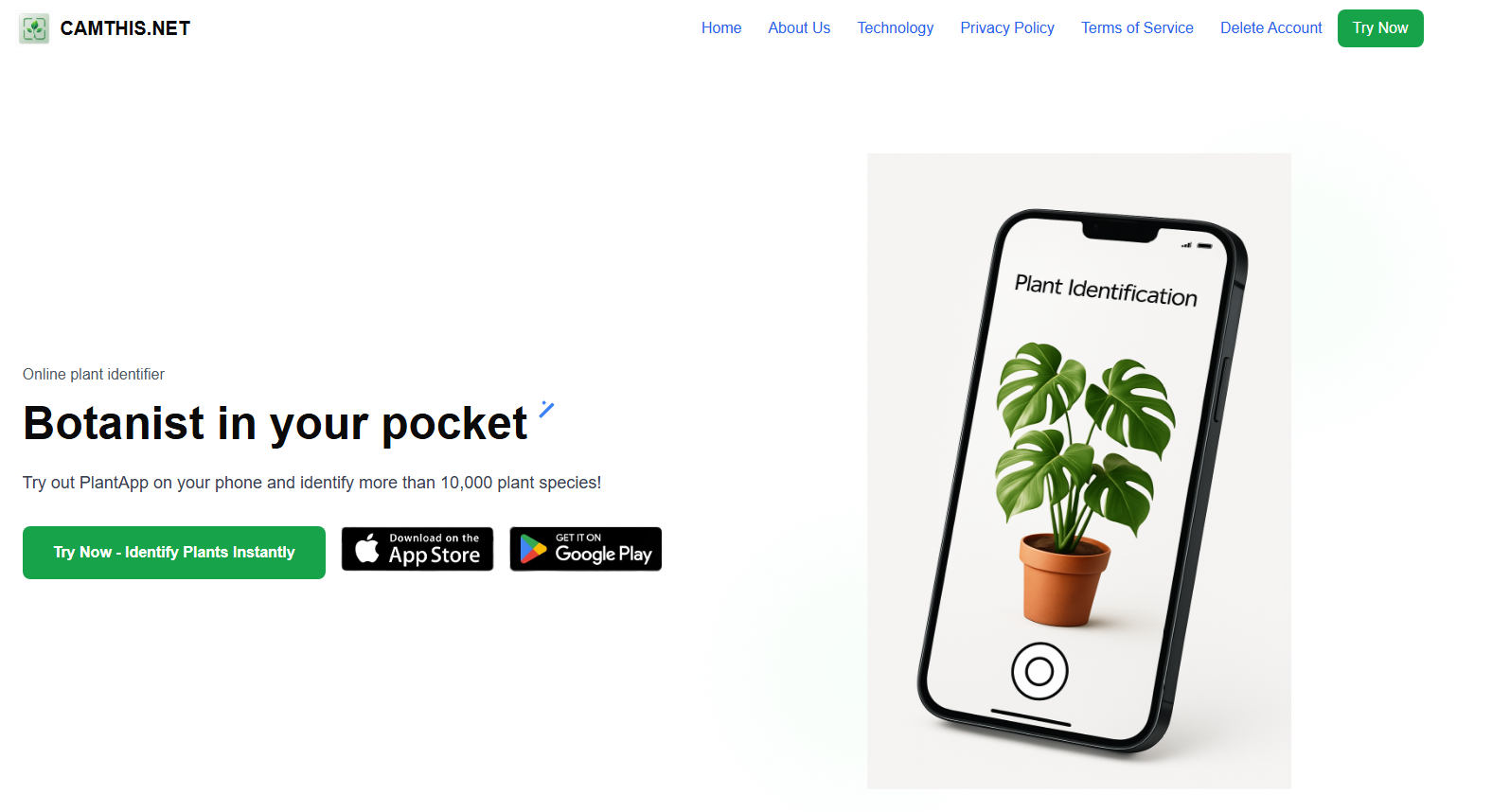 camthis.net